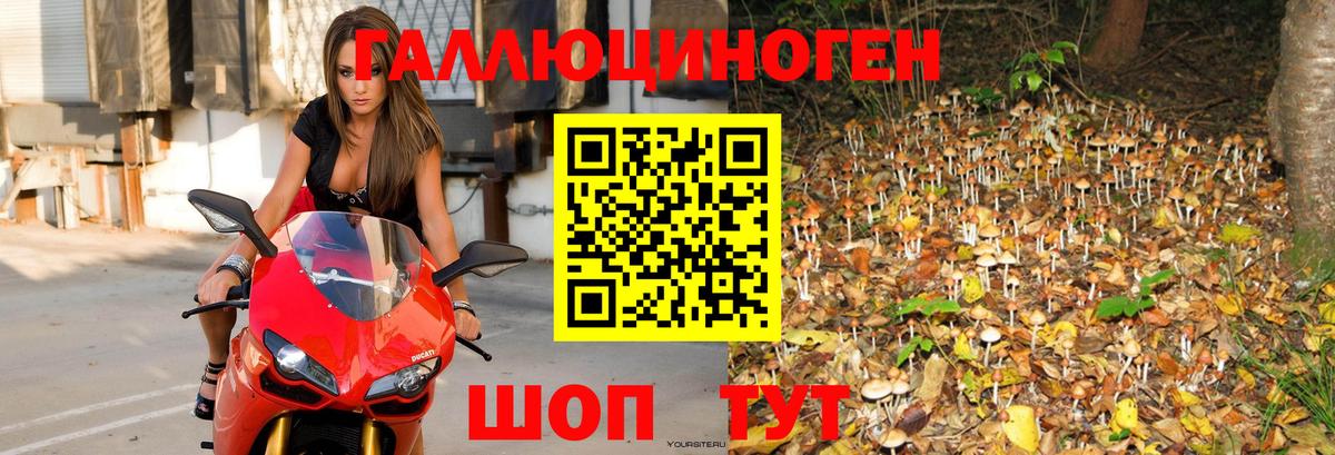 Псилоцибиновые грибы Psilocybe  Галлюциногенные грибы мухоморы  Вход с VPN  Кандалакша 
